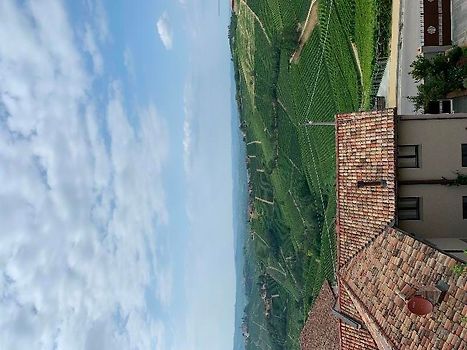 View from the apartment 